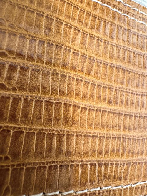 Cinturón avellana cocodrilo