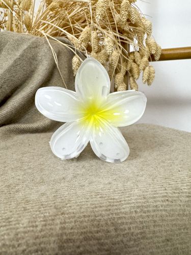 Pinza hibisco grande 2