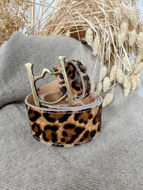 Hebilla bocao oro viejo