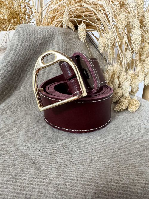 Hebilla estribo dorado