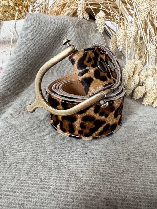 Hebilla espuela oro viejo