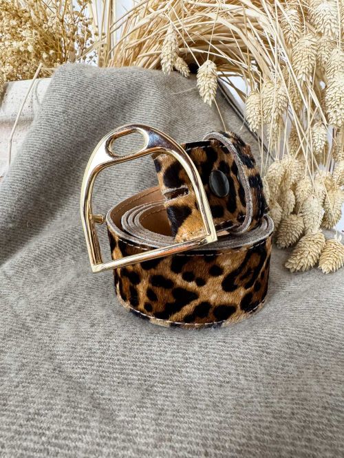 Hebilla estribo dorado