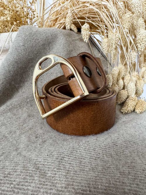 Hebilla estribo dorado