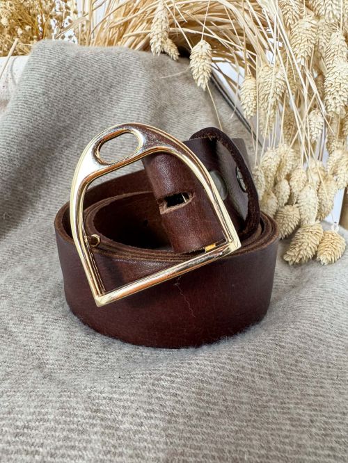 Hebilla estribo dorado