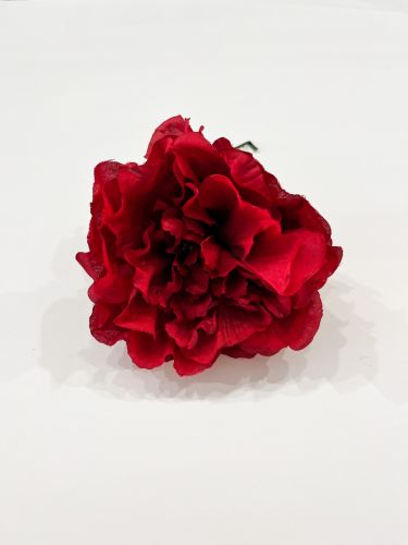 Peonia rojo