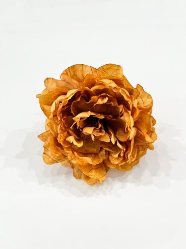 Peonia mediana mostaza