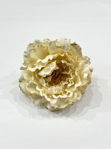 Peonia grande beige