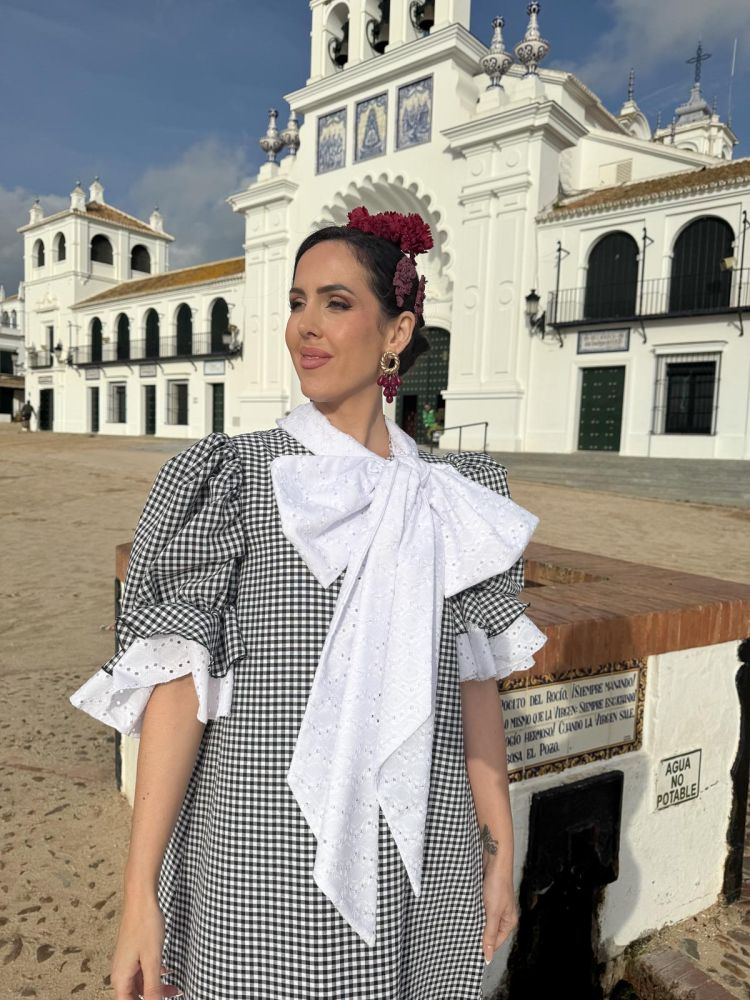 Peinecillo resina burdeos con rosas,...