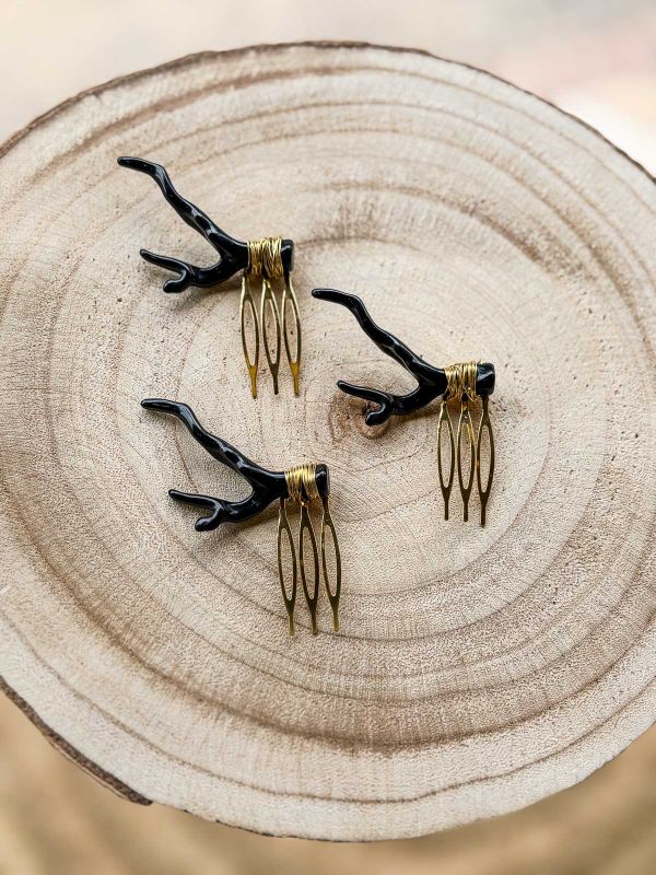 Peinecillo coral negro